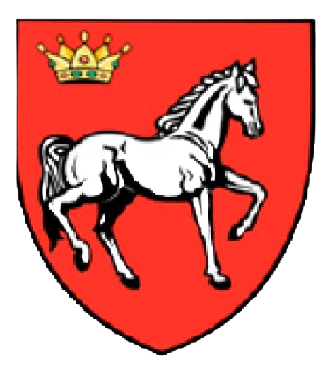 CJ Iași